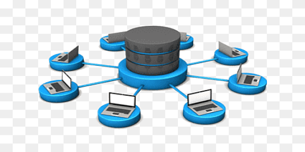 https://edutec.pw/Database & Automation System (Server-Side)